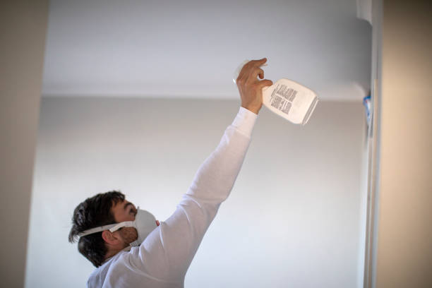 Best Best Mold Removal Companies  in Girard, PA