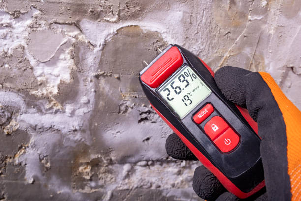 Trusted Girard, PA Mold Removal Experts