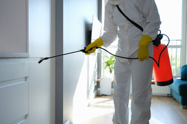 Crawl Space Mold Removal in Girard, PA