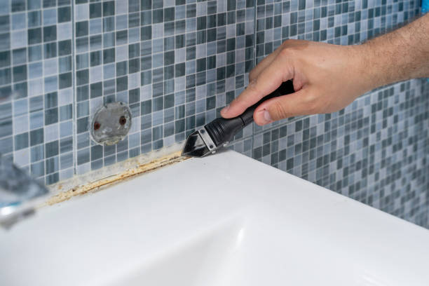 Best Mold Testing  in Girard, PA