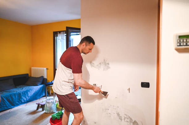 Best Attic Mold Removal  in Girard, PA